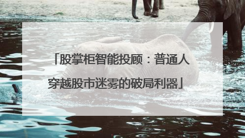 股掌柜智能投顾：普通人穿越股市迷雾的破局利器