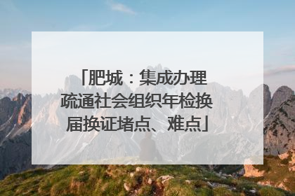 肥城：集成办理 疏通社会组织年检换届换证堵点、难点