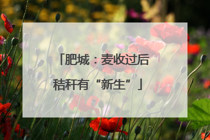 肥城：麦收过后秸秆有“新生”