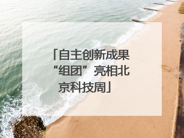 自主创新成果“组团”亮相北京科技周