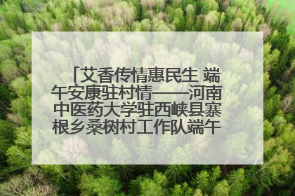 艾香传情惠民生 端午安康驻村情——河南中医药大学驻西峡县寨根乡桑树村工作队端午中医惠民记
