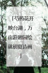 芍药花开映台湖，万亩游憩园绘就初夏诗画