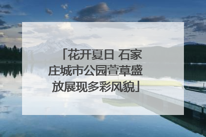 花开夏日 石家庄城市公园萱草盛放展现多彩风貌