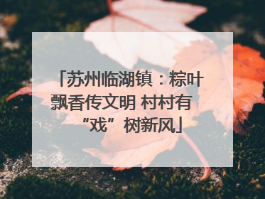苏州临湖镇：粽叶飘香传文明 村村有“戏”树新风