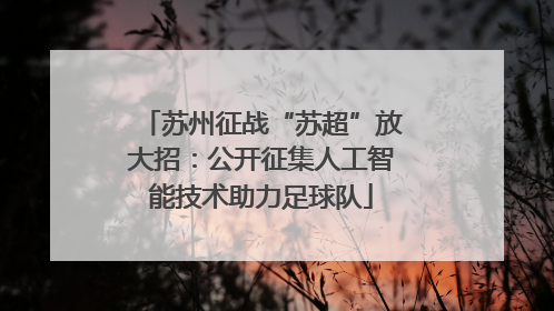 苏州征战“苏超”放大招：公开征集人工智能技术助力足球队
