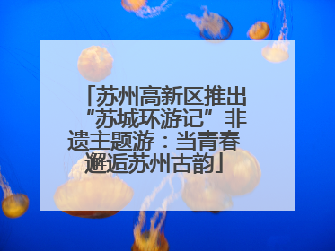 苏州高新区推出“苏城环游记”非遗主题游：当青春邂逅苏州古韵