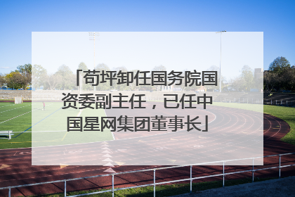 苟坪卸任国务院国资委副主任，已任中国星网集团董事长