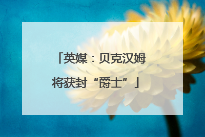 英媒：贝克汉姆将获封“爵士”
