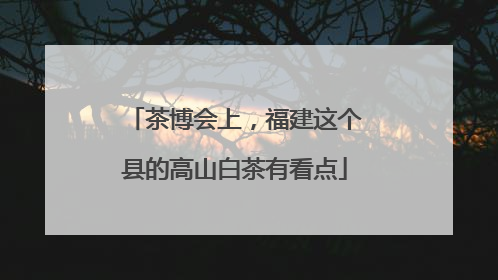 茶博会上，福建这个县的高山白茶有看点
