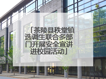 茶陵县秩堂镇选调生联合多部门开展安全宣讲进校园活动