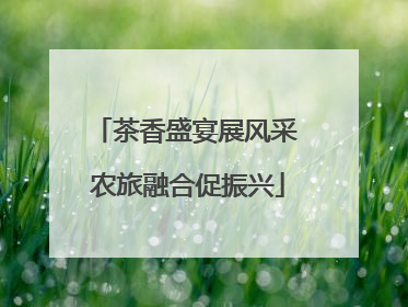 茶香盛宴展风采 农旅融合促振兴