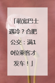 萌宠巴士遇冷？合肥公交：满10位乘客才发车！