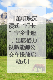董明珠沉浸式“打卡”宁乡非遗，出席格力钛新能源公交车投放启动式