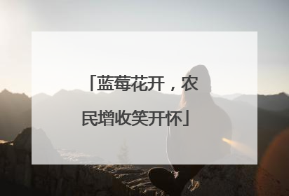 蓝莓花开，农民增收笑开怀