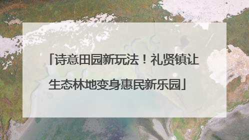 诗意田园新玩法！礼贤镇让生态林地变身惠民新乐园