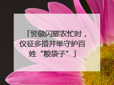 警徽闪耀农忙时，仪征多措并举守护百姓“粮袋子”