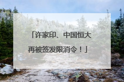 许家印、中国恒大再被签发限消令！