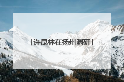 许昆林在扬州调研