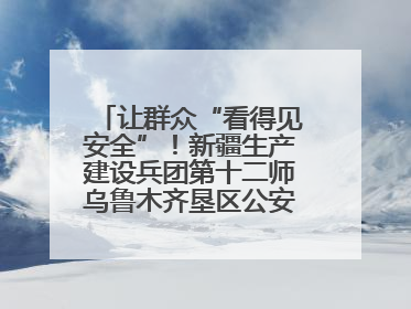 让群众“看得见安全”！新疆生产建设兵团第十二师乌鲁木齐垦区公安局“多线作战”筑牢辖区安全防线