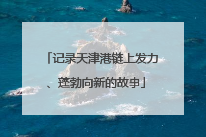 记录天津港链上发力、蓬勃向新的故事