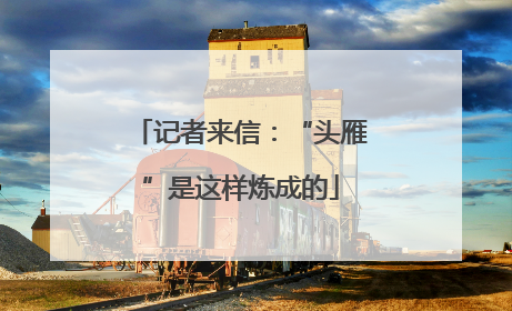记者来信：“头雁”是这样炼成的