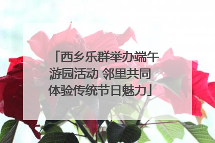 西乡乐群举办端午游园活动 邻里共同体验传统节日魅力