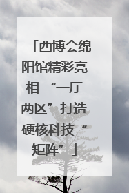 西博会绵阳馆精彩亮相 “一厅两区”打造硬核科技“矩阵”