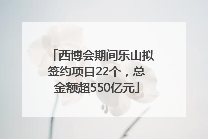 西博会期间乐山拟签约项目22个，总金额超550亿元