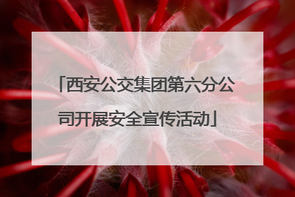 西安公交集团第六分公司开展安全宣传活动