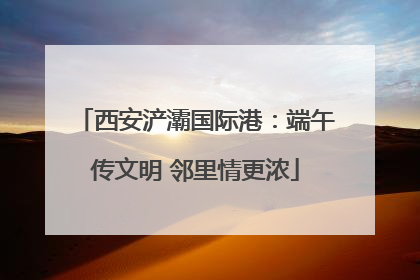 西安浐灞国际港：端午传文明 邻里情更浓