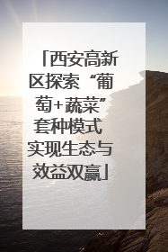西安高新区探索“葡萄+蔬菜”套种模式 实现生态与效益双赢