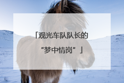 观光车队队长的“梦中情岗”