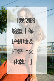 观潮的螃蟹丨保护耕地要打好“文化牌”