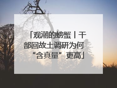 观潮的螃蟹丨干部回故土调研为何“含真量”更高