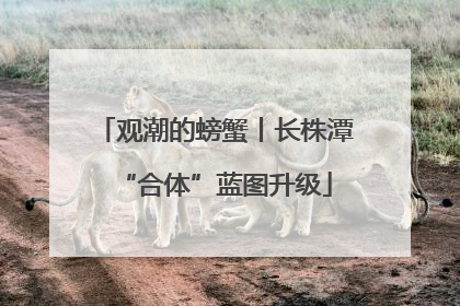 观潮的螃蟹丨长株潭“合体”蓝图升级