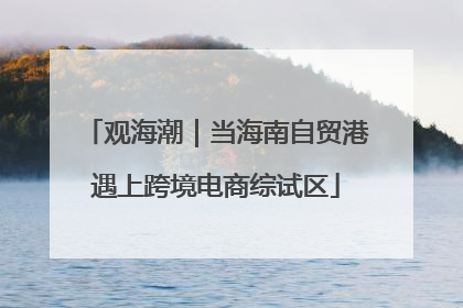 观海潮｜当海南自贸港遇上跨境电商综试区
