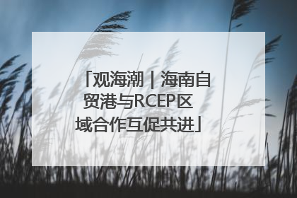 观海潮｜海南自贸港与RCEP区域合作互促共进
