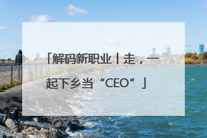 解码新职业丨走，一起下乡当“CEO”