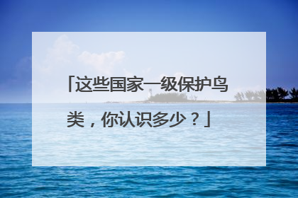 这些国家一级保护鸟类，你认识多少？