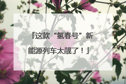 这款“氢春号”新能源列车太靓了！