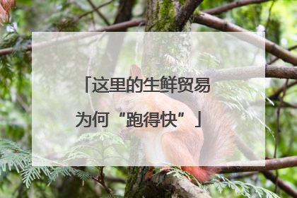 这里的生鲜贸易为何“跑得快”