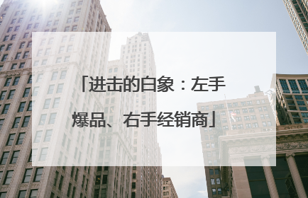 进击的白象：左手爆品、右手经销商
