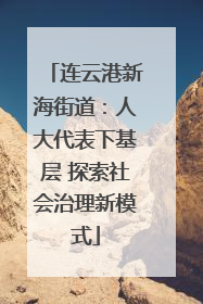 连云港新海街道：人大代表下基层 探索社会治理新模式