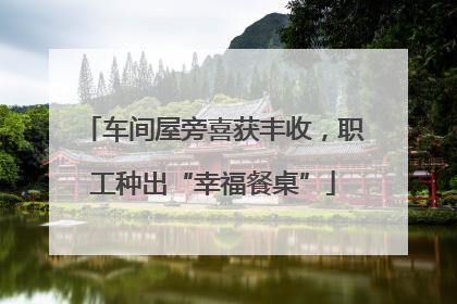 车间屋旁喜获丰收，职工种出“幸福餐桌”