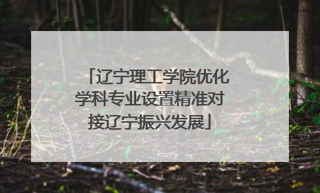 辽宁理工学院优化学科专业设置精准对接辽宁振兴发展