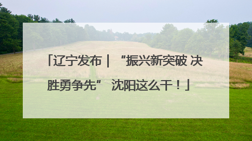 辽宁发布｜“振兴新突破 决胜勇争先” 沈阳这么干！