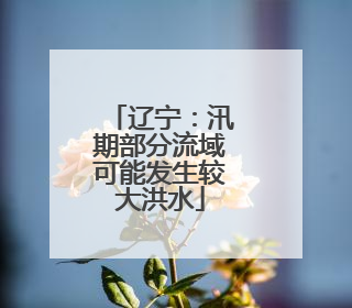 辽宁：汛期部分流域可能发生较大洪水