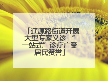 辽源路街道开展大型专家义诊 “一站式”诊疗广受居民赞誉