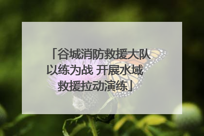 谷城消防救援大队以练为战 开展水域救援拉动演练