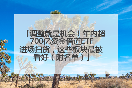 调整就是机会！年内超700亿资金借道ETF进场扫货，这些板块最被看好（附名单）